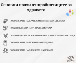 Пробиотици: Защо са важни за здравето на организма?